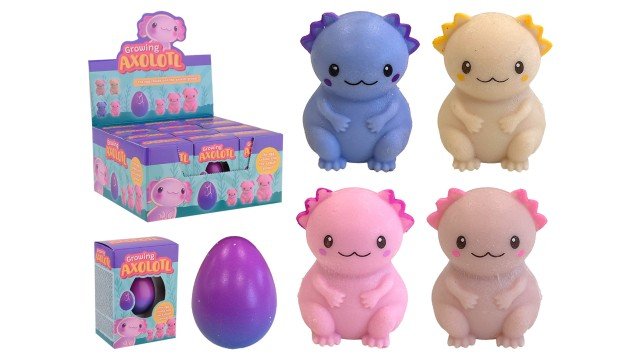 Growing Axolotl egg-boxed - CDU of 12